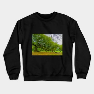 Tree of Life Digital Art New Orleans Crewneck Sweatshirt